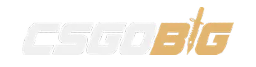CSGOBIG.COM